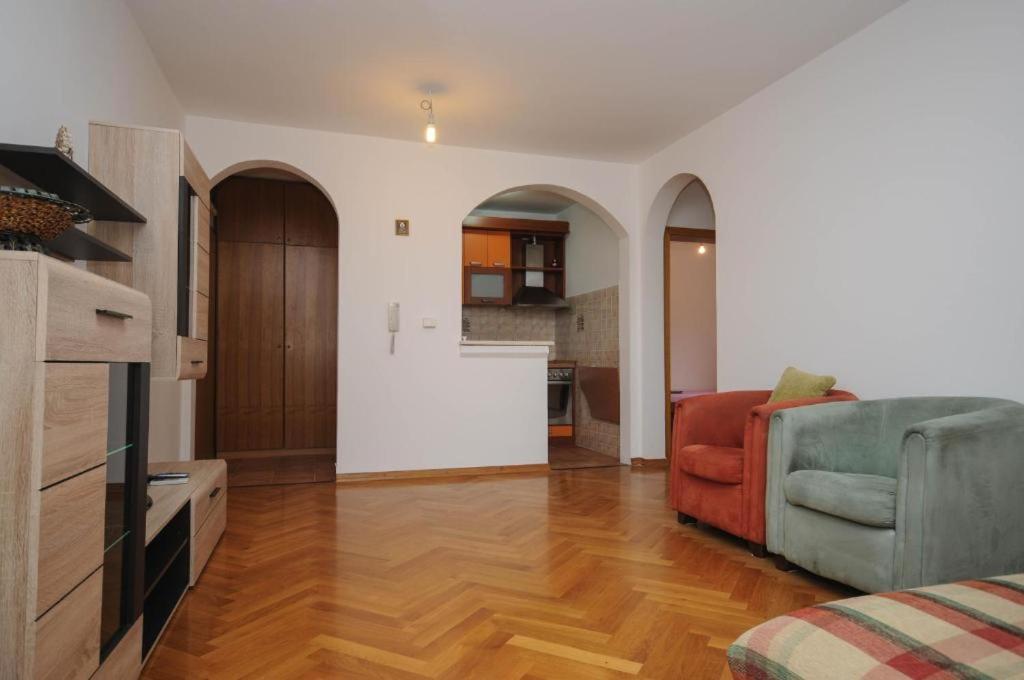 Apartment Jana Petrovac Buitenkant foto